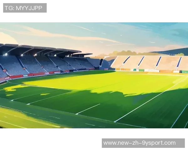 足球带给我的激情与思考在绿茵场上的成长与收获